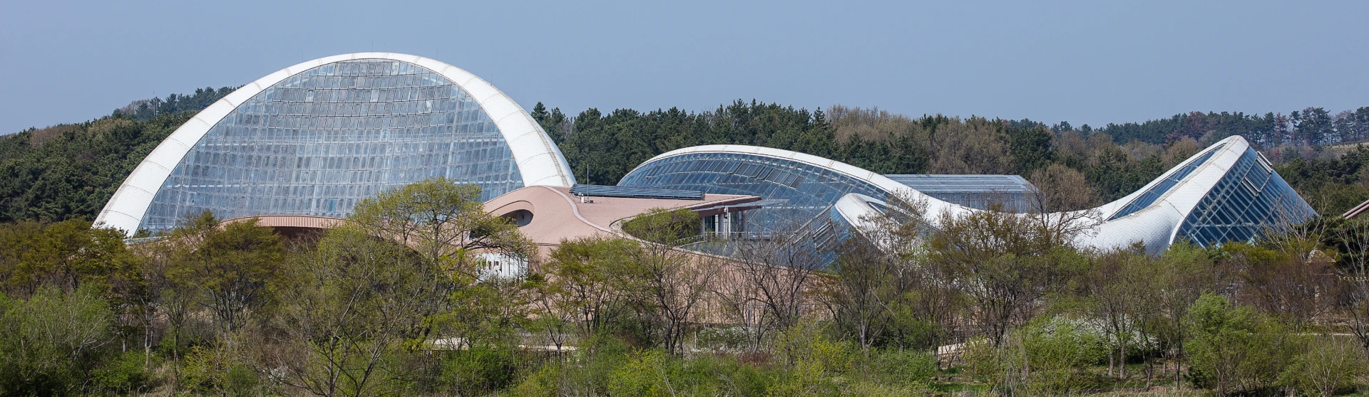 2026_buyeo_05_01.webp