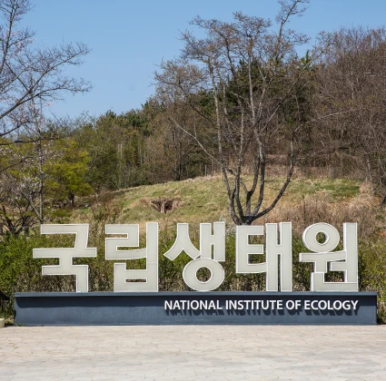 2026_buyeo_05_02.webp