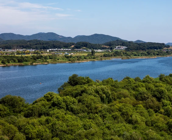 2026_buyeo_10_03.webp