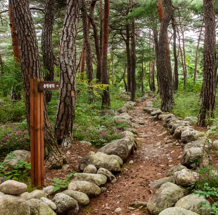2026_sokcho_10_13.webp