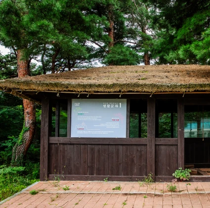 2026_sokcho_10_15.webp