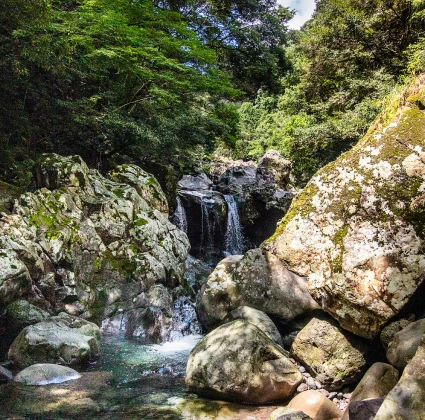 jeju_2026_09_05