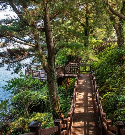 jeju_2026_09_16.webp