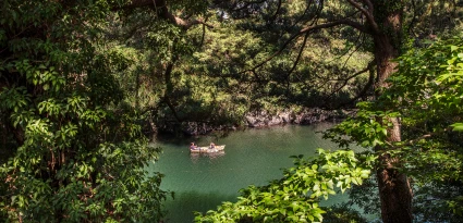 jeju_2026_09_20.webp
