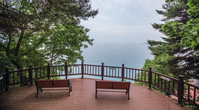 sokcho_2026_06_03.webp