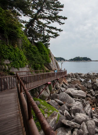 sokcho_2026_06_11.webp