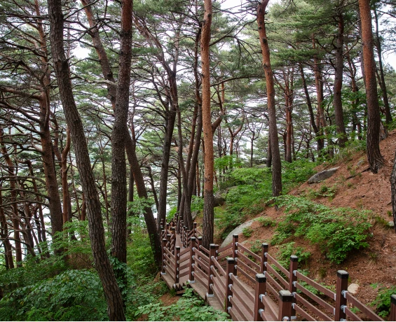 sokcho_2026_06_12.webp