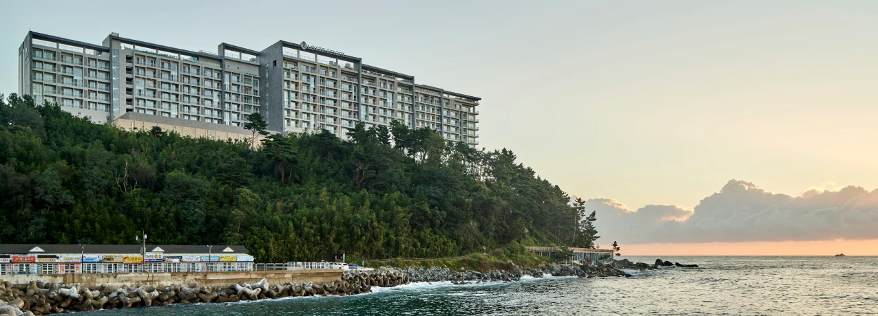 sokcho_2026_08_s